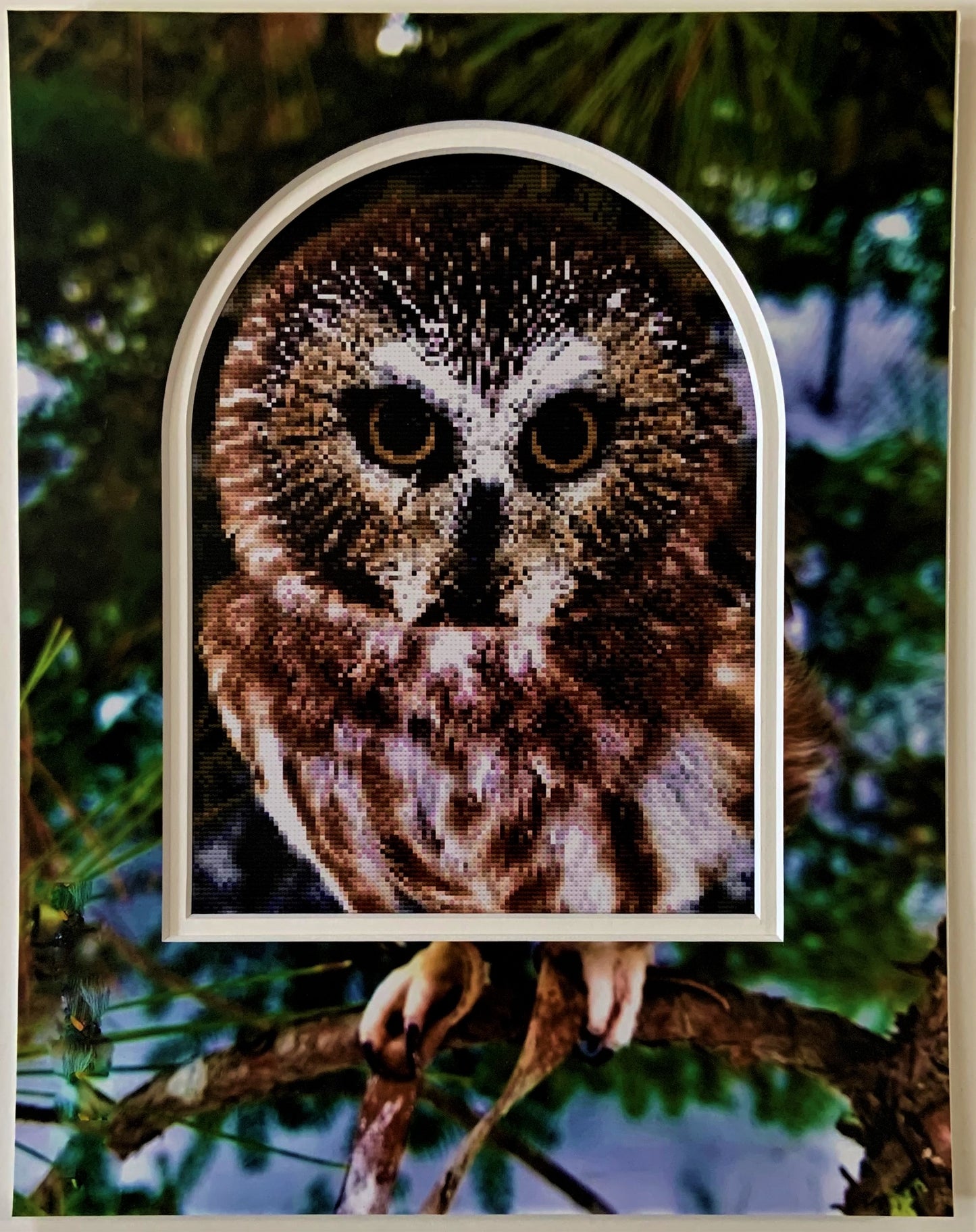 Brown Owl Counted Cross Stitch with Printed Double Mat