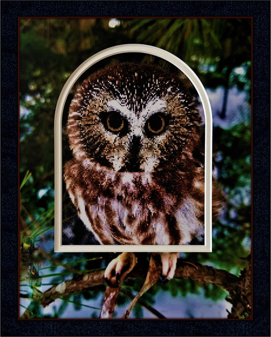 Brown Owl Counted Cross Stitch with Printed Double Mat
