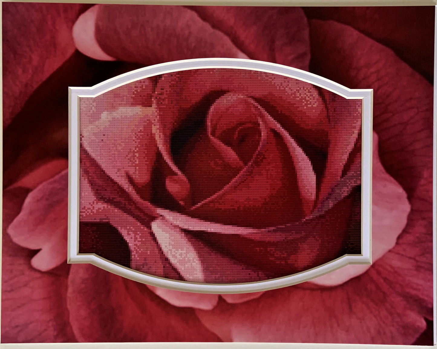 Pink Rose Counted Cross Stitch Pattern and Printed Double Mat