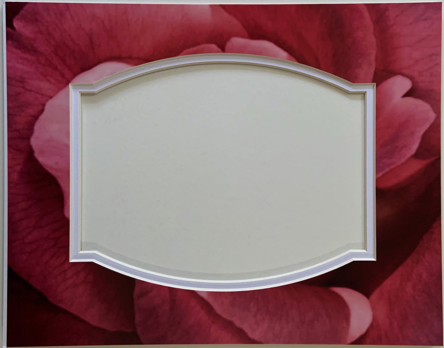 Pink Rose Counted Cross Stitch Pattern and Printed Double Mat