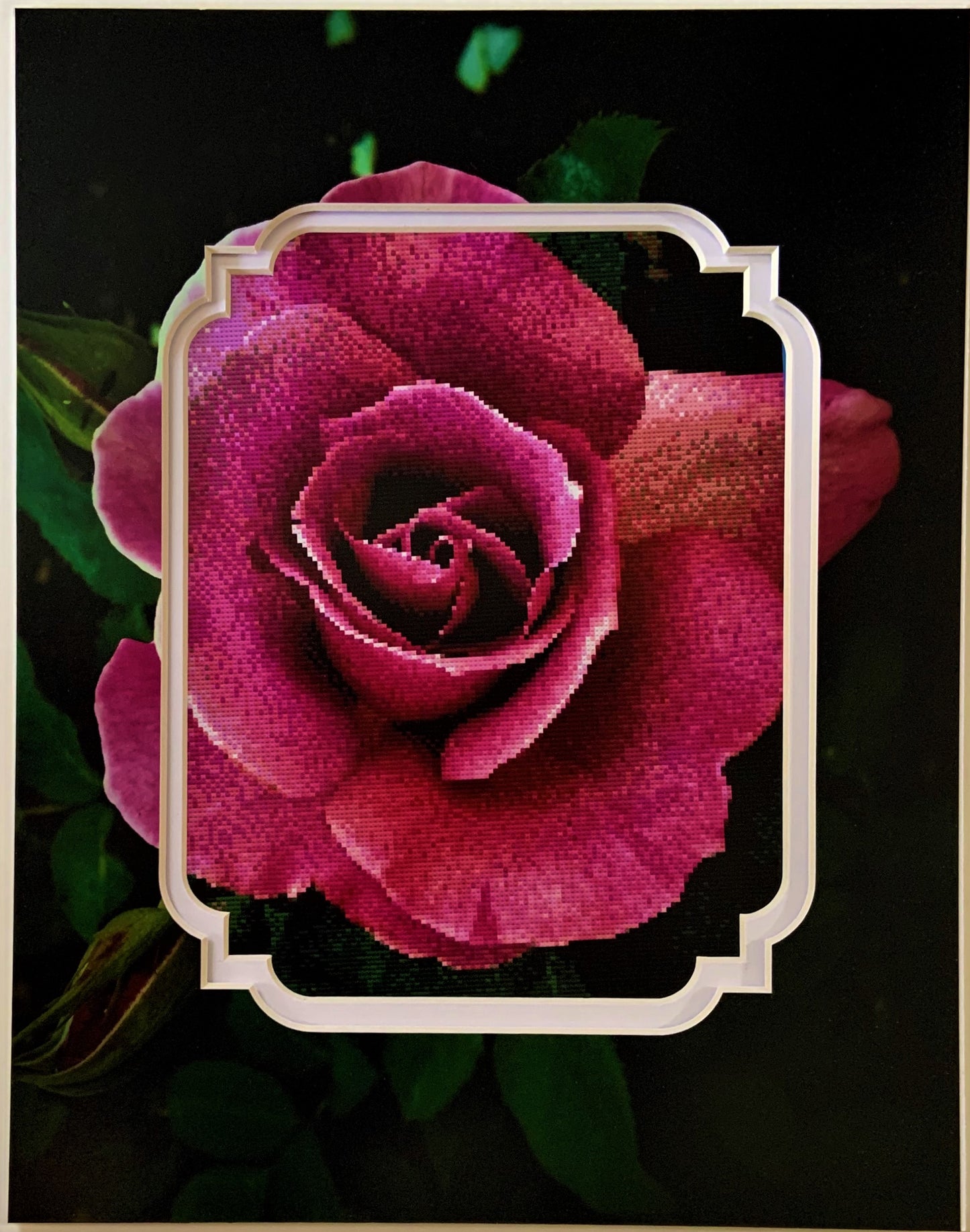 Purple Rose Counted Cross Stitch Pattern and Printed Double Mat